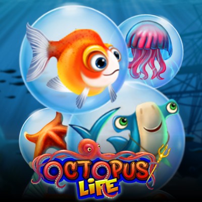 Octopus Life