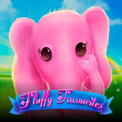 Fluffy Favourites