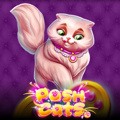 Posh Cats