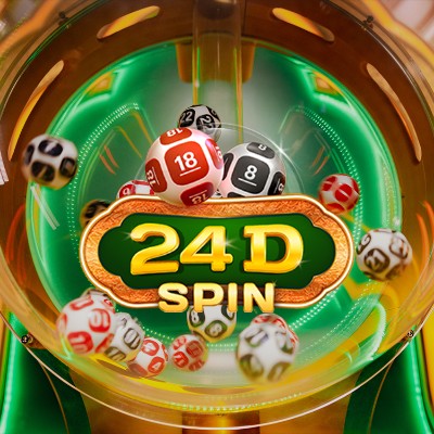 24D Spin