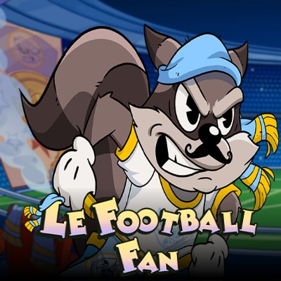 Le Football Fan