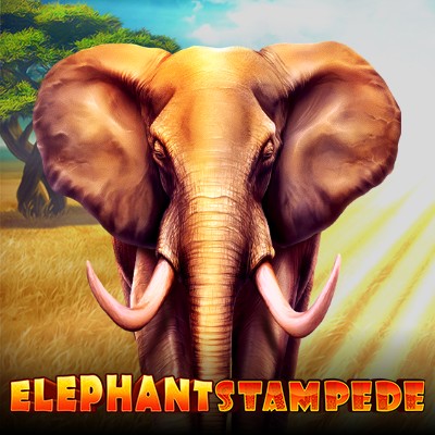 Elephant Stampede