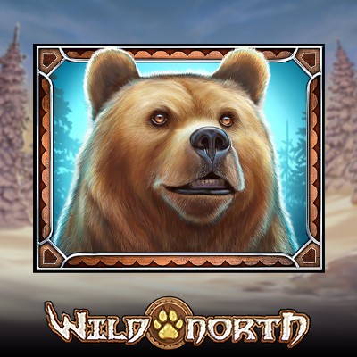 Wild North