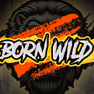 Born WILD (RTP 94)